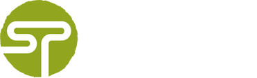 Splint Logo